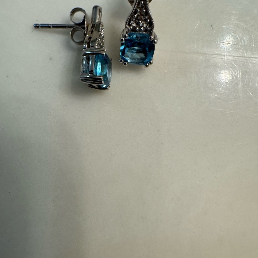 Elegant Blue and Silver Earrings